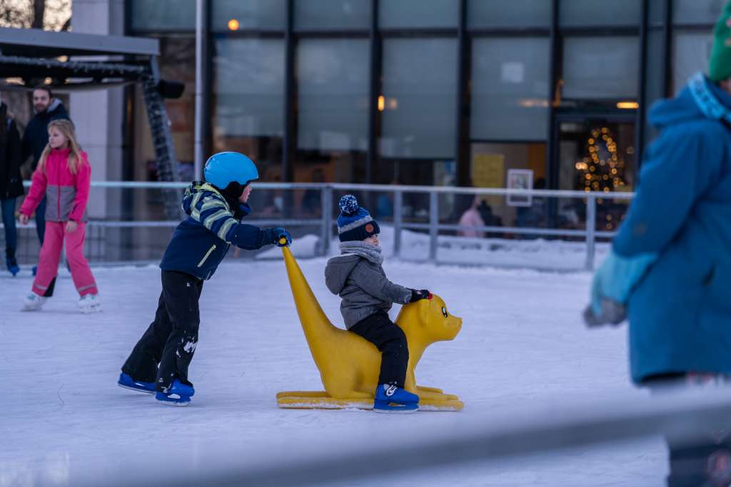 Postojna_drsališče-2