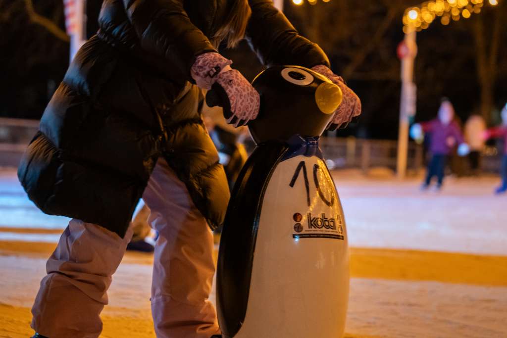 Samobor_drsališče-7